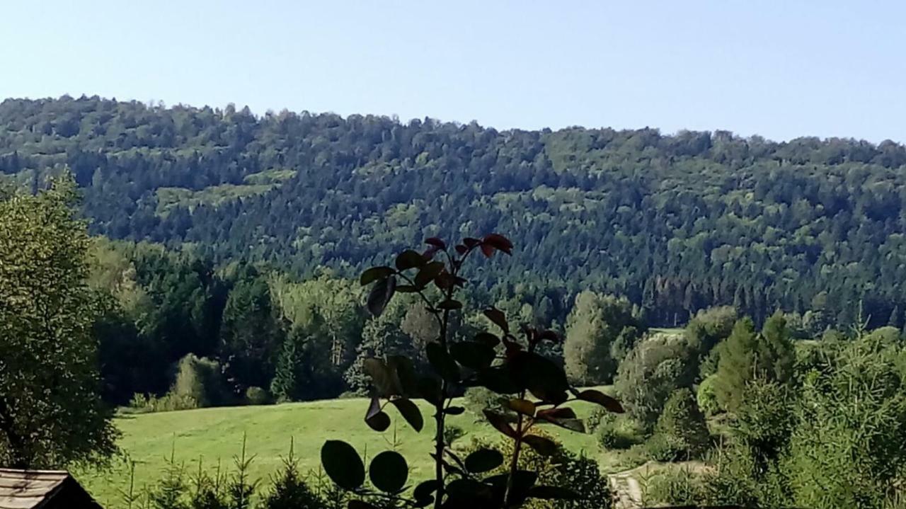 Mietowy Aniol Villa Ustrzyki Dolne Eksteriør billede
