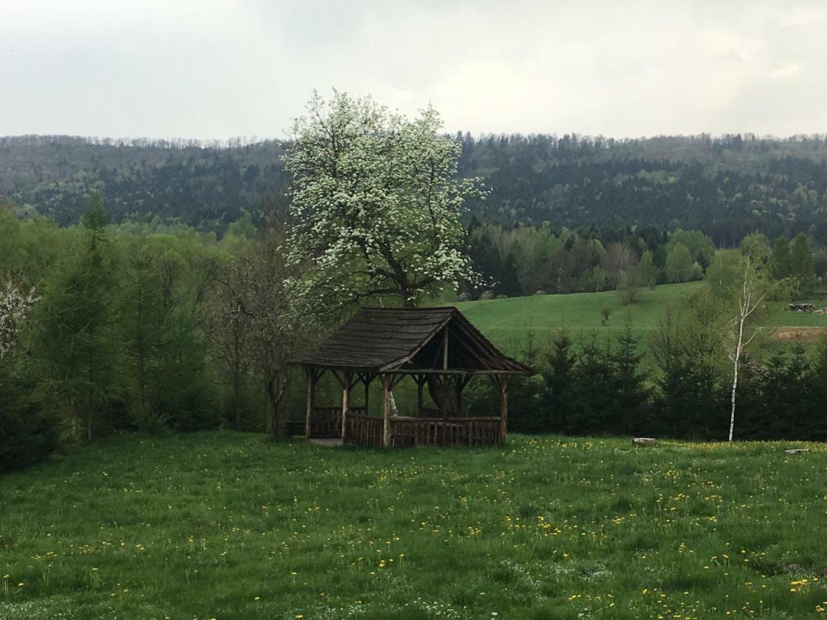 Mietowy Aniol Villa Ustrzyki Dolne Eksteriør billede